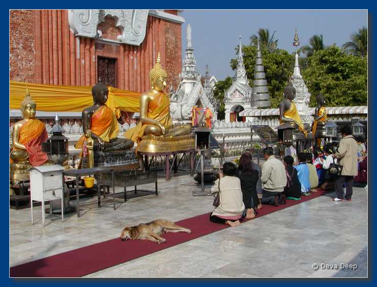 That Phanom Wat Phra TP 20031221-09